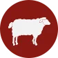 lamb-icon